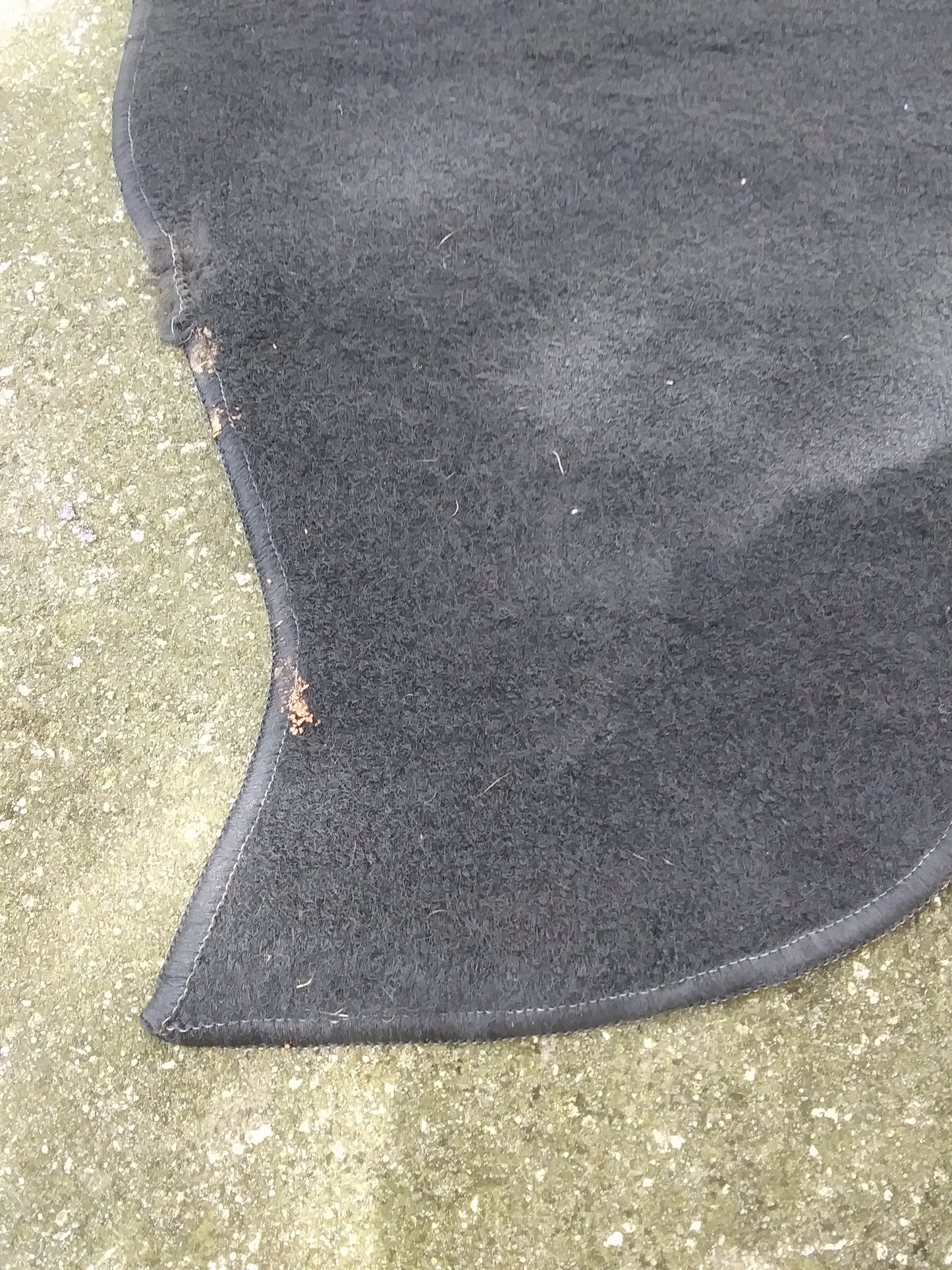 fraid carpet on edge