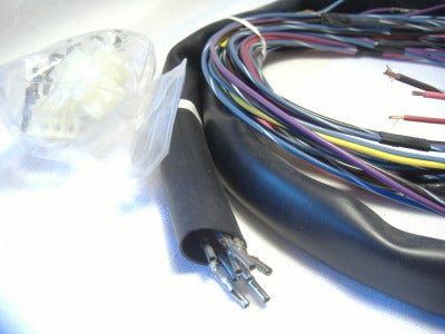 California Sidecar body wire harness friendship companion GT OEM NOS
