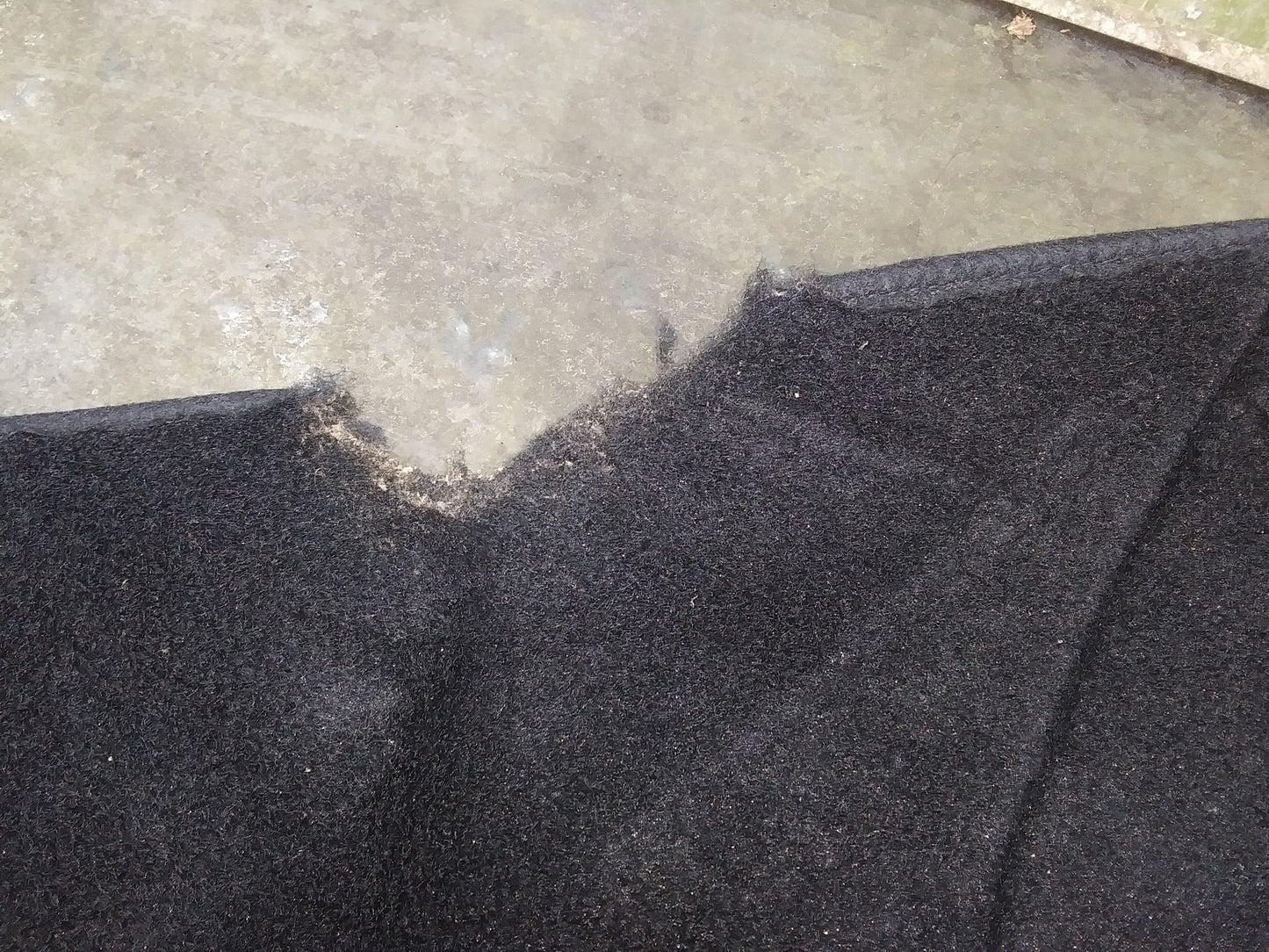 Companion GT Sidecar Interior Carpet Kit NOS OEM California Sidecar with Holes