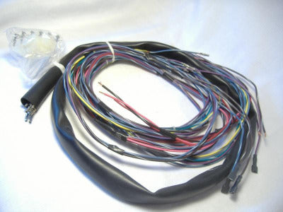 California Sidecar body wire harness friendship companion GT OEM NOS